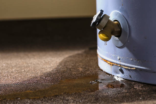 Bellefontaine Neighbors, MO Water damage restoration Company