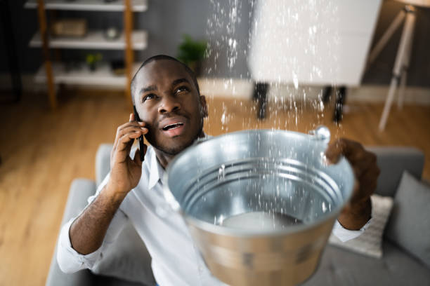 Best Carpet water damage restoration  in Bellefontaine Neighbors, MO