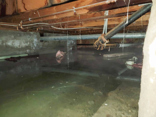 Best Commercial water damage restoration  in Bellefontaine Neighbors, MO