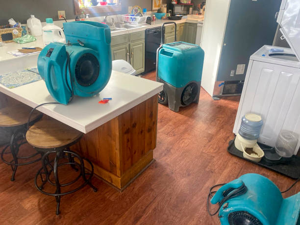 Best Local water damage restoration  in Bellefontaine Neighbors, MO