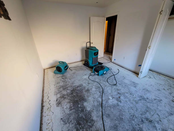 Best Flood restoration services  in Bellefontaine Neighbors, MO
