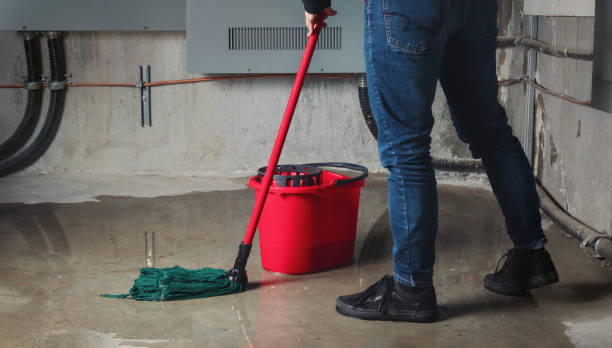 Best Flood damage cleanup  in Bellefontaine Neighbors, MO