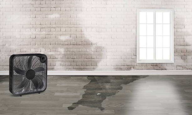 Best Water damage restoration near me  in Bellefontaine Neighbors, MO
