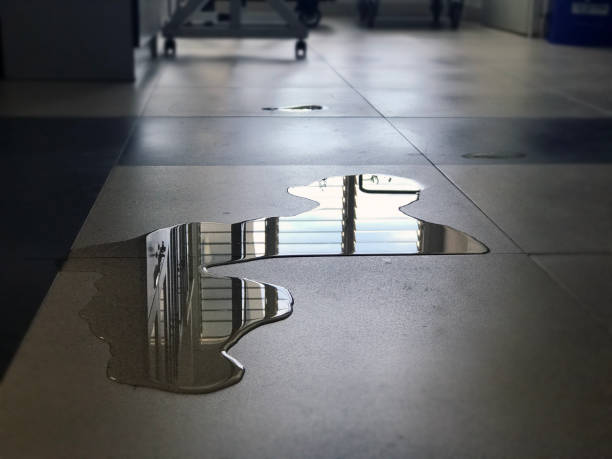 Best 24-hour water damage restoration  in Bellefontaine Neighbors, MO