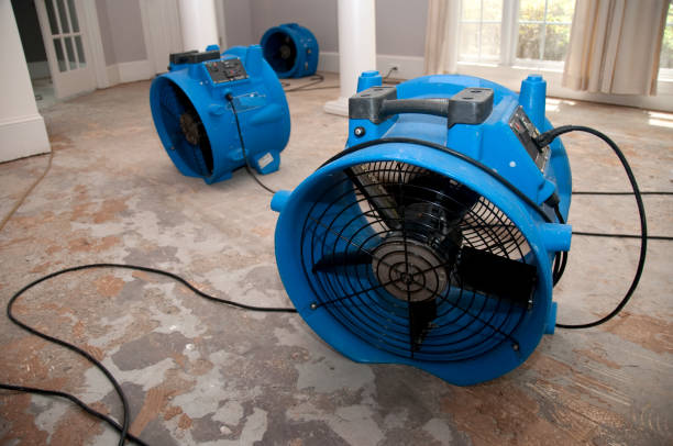 Best Water damage restoration services  in Bellefontaine Neighbors, MO
