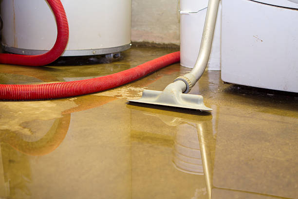Best Basement water damage restoration  in Bellefontaine Neighbors, MO