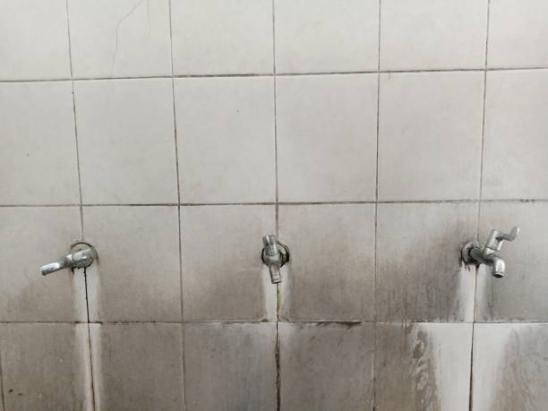 Best Water damage restoration near me  in Bellefontaine Neighbors, MO
