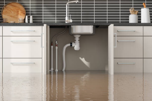 Reliable Bellefontaine Neighbors, MO Water damage restoration Solutions