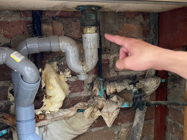 Best Water damage mitigation services  in Bellefontaine Neighbors, MO