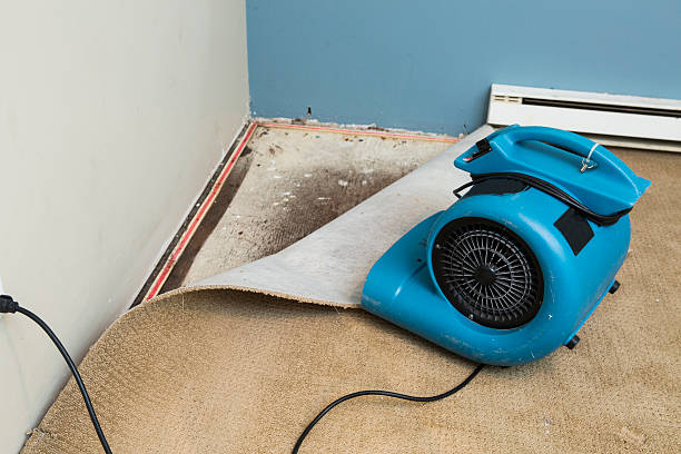 Best Water damage contractors near me  in Bellefontaine Neighbors, MO